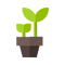 Nursery Management System